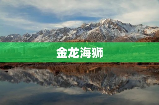 金龙海狮：船舶行业的领军者