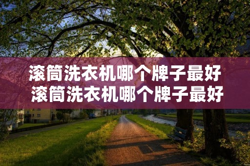 滚筒洗衣机哪个牌子最好 滚筒洗衣机哪个牌子最好用最耐用 滚筒洗衣机哪个牌子最好 滚筒洗衣机哪个牌子最好用最耐用