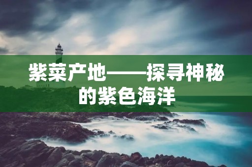 紫菜产地——探寻神秘的紫色海洋