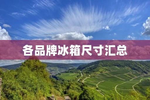 各品牌冰箱尺寸汇总 各品牌冰箱尺寸汇总