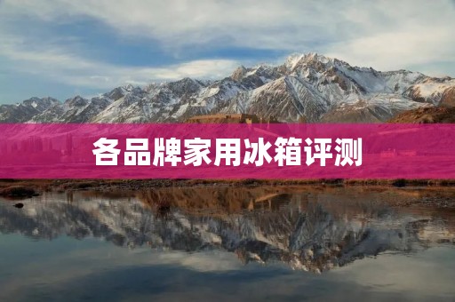 各品牌家用冰箱评测：哪个品牌性价比更高？