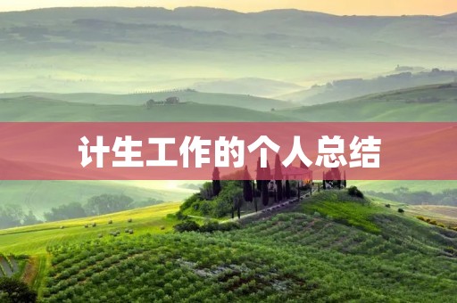 计生工作的个人总结