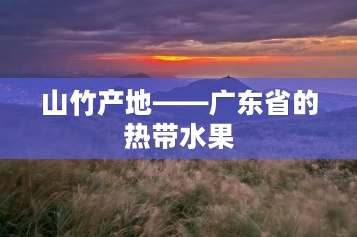 山竹产地——广东省的热带水果