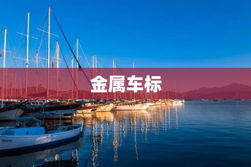 金属车标:一种品质与美感的体现 金属车标:一种品质与美感的体现