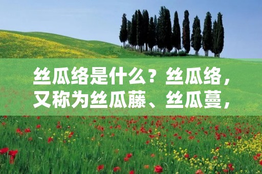 丝瓜络是什么?丝瓜络,又称为丝瓜藤、丝瓜蔓,是丝瓜植物的茎、枝和叶柄的干燥部分。丝瓜络具有清热解毒、利尿通淋、消肿止痛等功效,是一种常见的传统中药材。