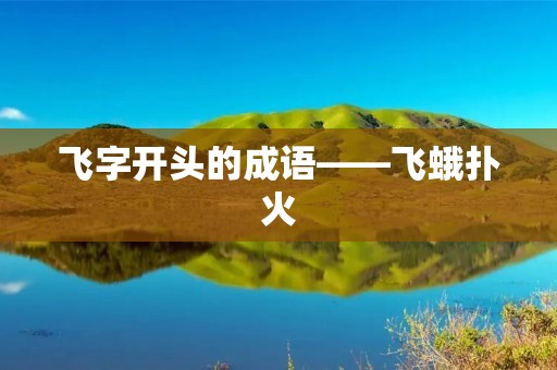 飞字开头的成语——飞蛾扑火