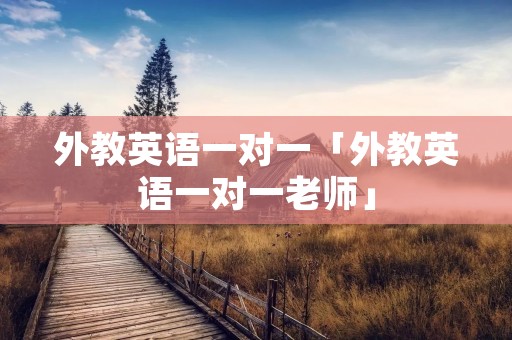外教英语一对一「外教英语一对一老师」