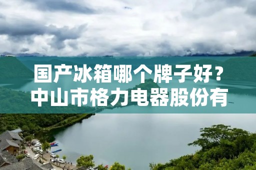 国产冰箱哪个牌子好？中山市格力电器股份有限公司