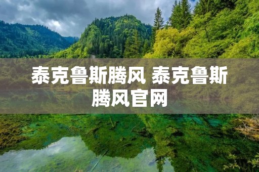 泰克鲁斯腾风 泰克鲁斯腾风官网