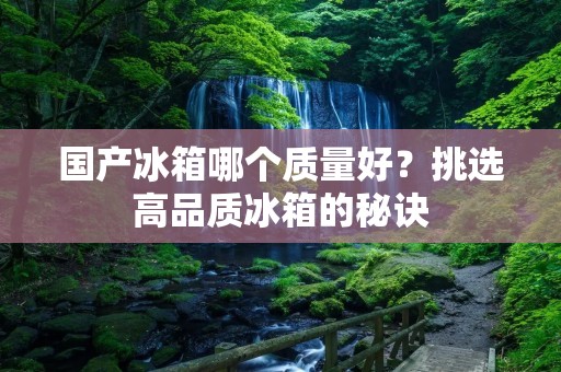 国产冰箱哪个质量好？挑选高品质冰箱的秘诀