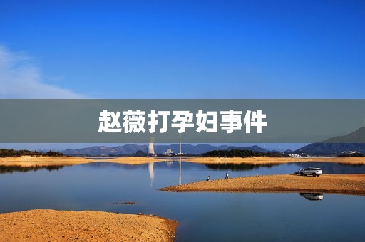 赵薇打孕妇事件:道德与法律的交错