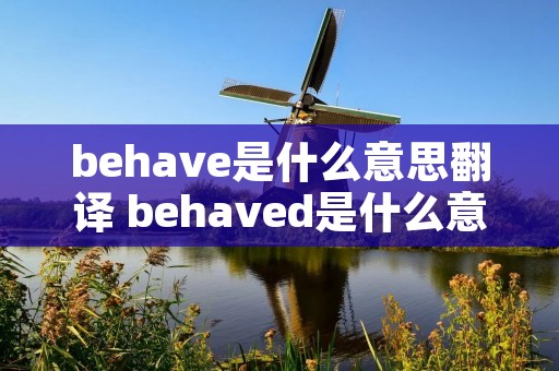 behave是什么意思翻译 behaved是什么意思中文翻译