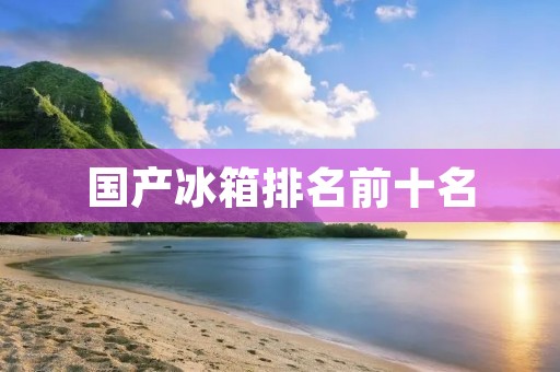 国产冰箱排名前十名：你需要知道的全面评测