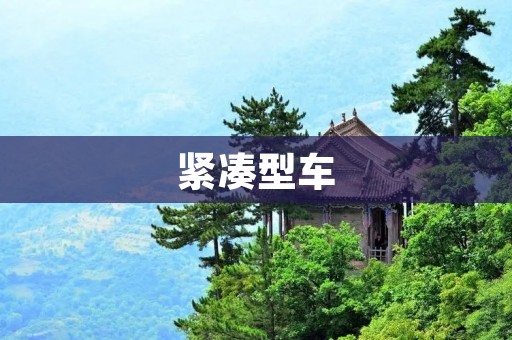 紧凑型车：小巧精致的出行伴侣
