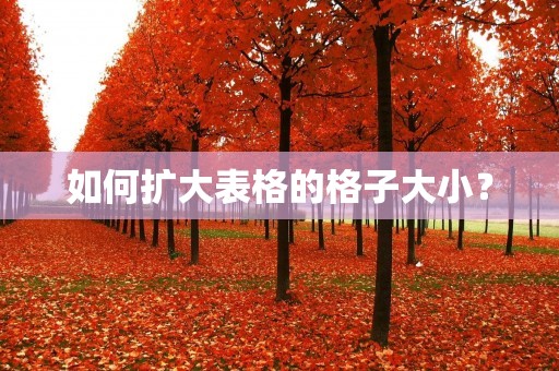 如何扩大表格的格子大小? 如何扩大表格的格子大小?