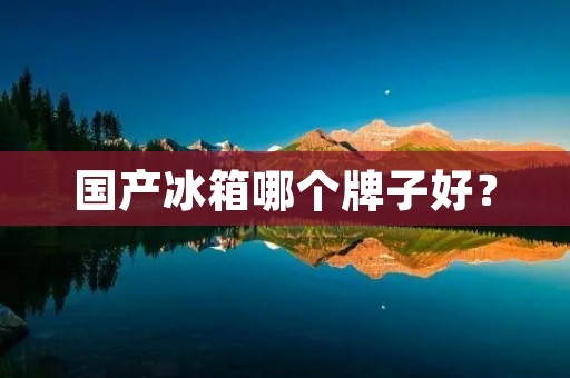 国产冰箱哪个牌子好? 国产冰箱哪个牌子好?