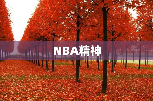NBA精神：追求卓越的不懈努力