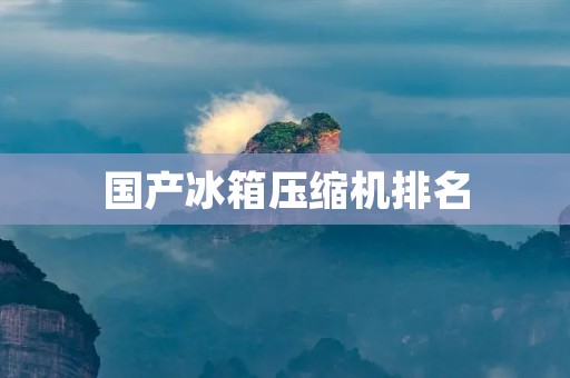 国产冰箱压缩机排名：哪些品牌的压缩机更值得购买？