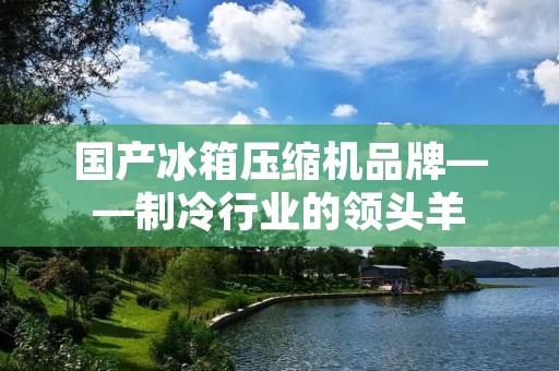 国产冰箱压缩机品牌——制冷行业的领头羊 国产冰箱压缩机品牌——制冷行业的领头羊