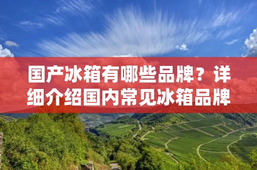 国产冰箱有哪些品牌？详细介绍国内常见冰箱品牌