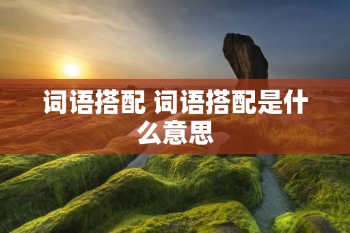 词语搭配 词语搭配是什么意思