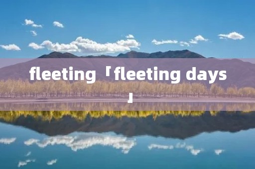 fleeting「fleeting days」