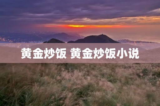 黄金炒饭 黄金炒饭小说 黄金炒饭 黄金炒饭小说