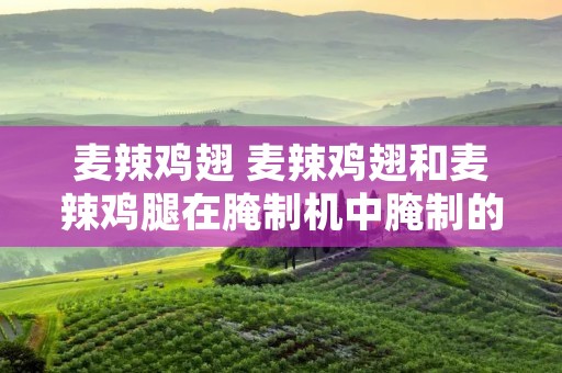 麦辣鸡翅 麦辣鸡翅和麦辣鸡腿在腌制机中腌制的时间为多少? 麦辣鸡翅 麦辣鸡翅和麦辣鸡腿在腌制机中腌制的时间为多少?