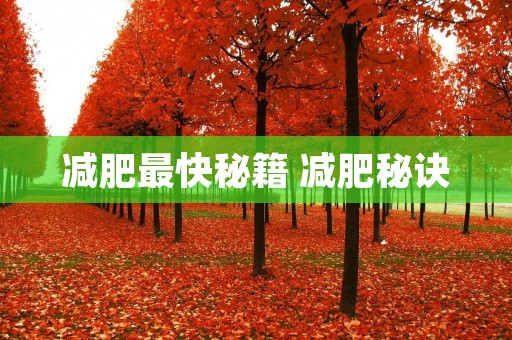 减肥最快秘籍 减肥秘诀