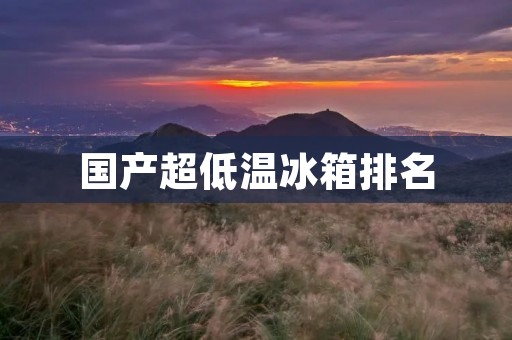国产超低温冰箱排名:哪些品牌值得购买? 国产超低温冰箱排名:哪些品牌值得购买?