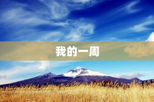 我的一周:成长与收获 我的一周:成长与收获