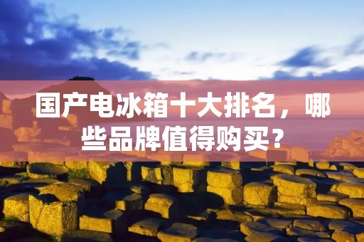 国产电冰箱十大排名，哪些品牌值得购买？
