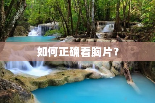 如何正确看胸片? 如何正确看胸片?