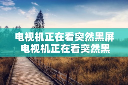 电视机正在看突然黑屏 电视机正在看突然黑屏,重新开又好了