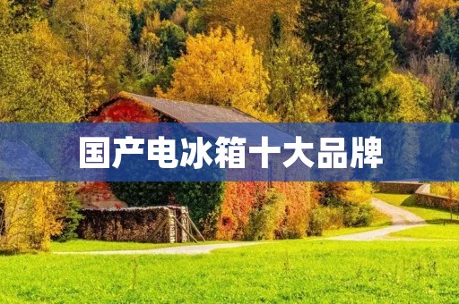 国产电冰箱十大品牌：哪些品牌值得信赖？