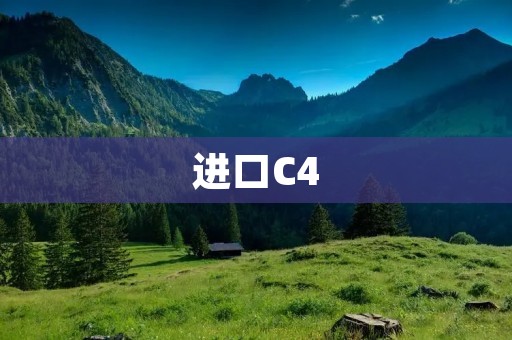 进口C4：引领豪华轿车新时代