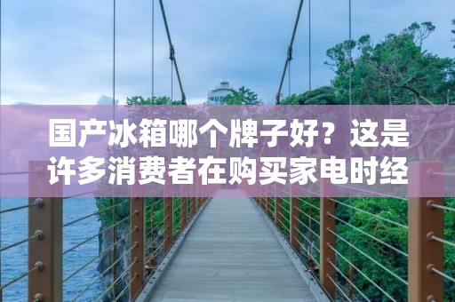 国产冰箱哪个牌子好？这是许多消费者在购买家电时经常会遇到的问题。随着国内家电市场的不断发展，越来越多的国产品牌涌现出来，包括海尔、美的、格力、长虹、TCL、海信等等。这些品牌在家电市场大有作为，也受到了消费者的高度关注。但是，当你在购买冰箱时，应该如何选择呢？下面就让我们来一起探讨一下国产冰箱哪个牌子好吧！
