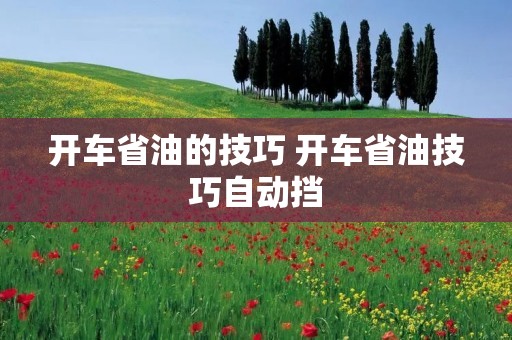 开车省油的技巧 开车省油技巧自动挡 开车省油的技巧 开车省油技巧自动挡