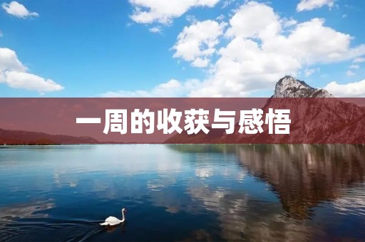 一周的收获与感悟