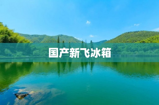 国产新飞冰箱：品质与性价比并存