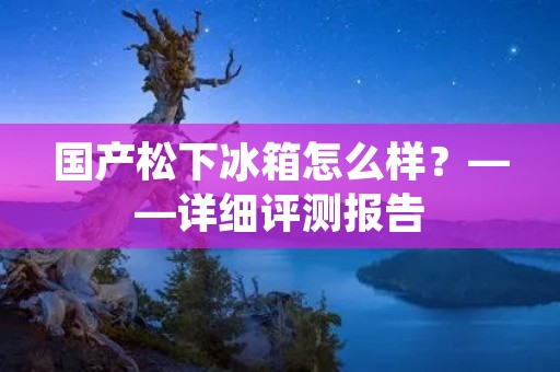国产松下冰箱怎么样？——详细评测报告