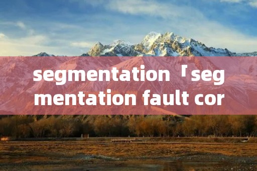 segmentation「segmentation fault core dumped」