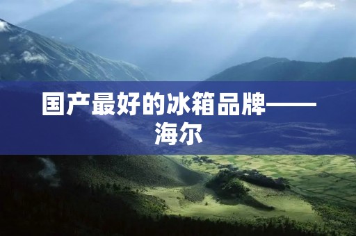 国产最好的冰箱品牌——海尔