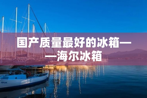 国产质量最好的冰箱——海尔冰箱 国产质量最好的冰箱——海尔冰箱