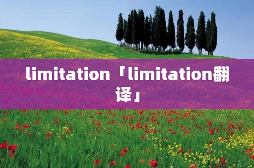 limitation「limitation翻译」