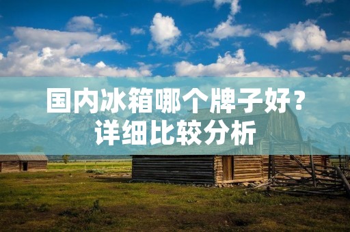 国内冰箱哪个牌子好?详细比较分析 国内冰箱哪个牌子好?详细比较分析