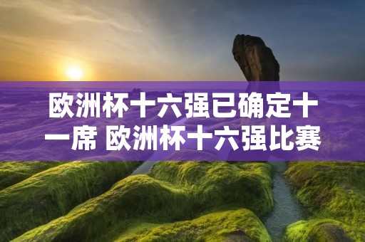 欧洲杯十六强已确定十一席 欧洲杯十六强比赛结果