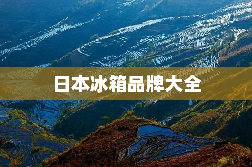 日本冰箱品牌大全：从高端到实惠，一网打尽