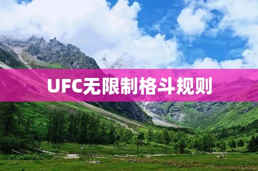 UFC无限制格斗规则:挑战极限的竞技体育 UFC无限制格斗规则:挑战极限的竞技体育