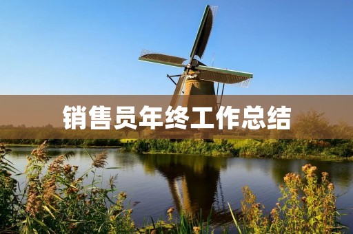 销售员年终工作总结：我是如何达成销售目标的